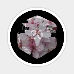 Nat20 Pink White Flowers Magnet